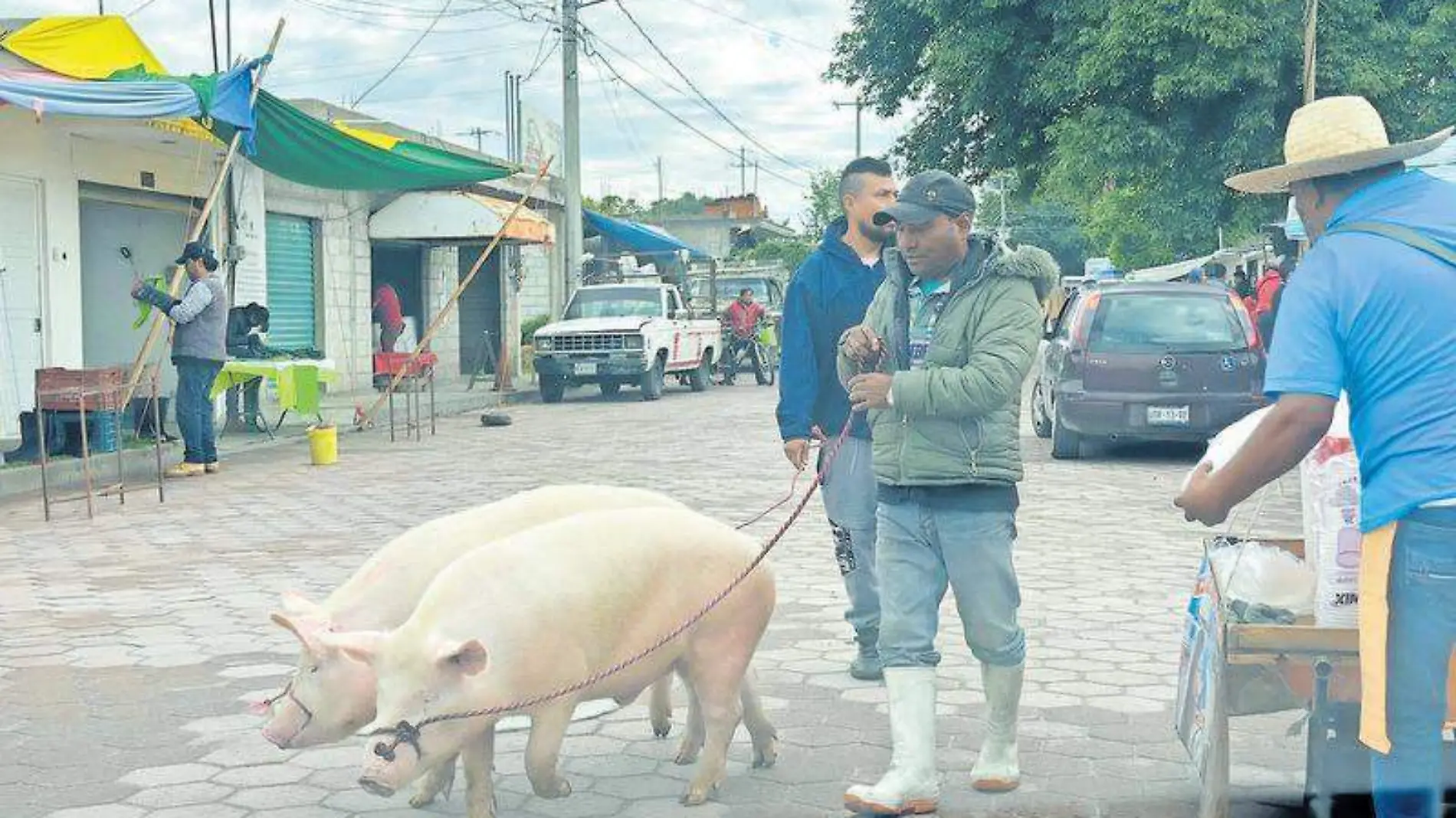 mercado animales zacatelco